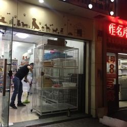 宠上天宠物小馆 杰杰宠物生活馆